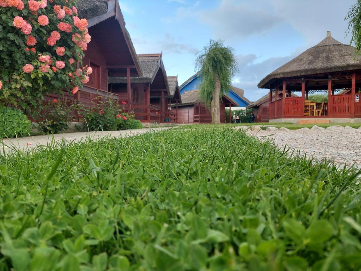Pensiunea La Tavi Murighiol Luaran gambar